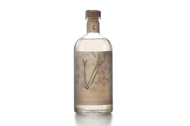 Ginglimo –London Dry Premium Gin –– Creato e Distillato in Italia con 10 Botaniche – l’Artiglio del Diavolo vi Stupirà – 40% vol. 70cl