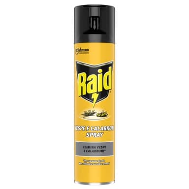 Raid Insetticida Spray Elimina Vespe e Calabroni, per Uso Interno, Azione Rapida per Spruzzo Diretto, 1 Confezione da 400ml