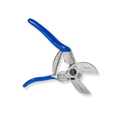 PATERLINI Forbici Potatura Professionali - Cesoie da Giardinaggio, Made in Italy - Potare Facile, Forbice da Frutteto Affilate per Innesto e Tagliare Rami, Attrezzi Giardinaggio (Doppio Taglio)