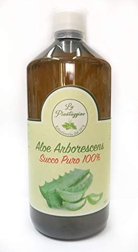 Aloe Arborescens Succo puro al 100% 1 litro