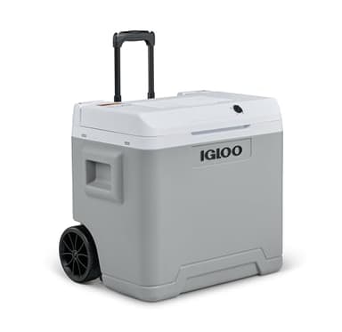 IGLOO IE42 AC/DC frigorifero elettrico con maniglia telescopica e ruote per auto e presa di corrente, mini-frigorifero 42 L, 12V e 230V, grigio