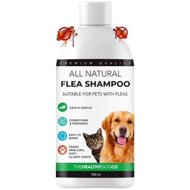 All Natural Shampoo Antipulci | Citronella | 500ml | Il Miglior Trattamento per Cani e Gatti | Formula Sicura ed Efficace | Elimina e Previeni Pulci, Zecche e Pidocchi