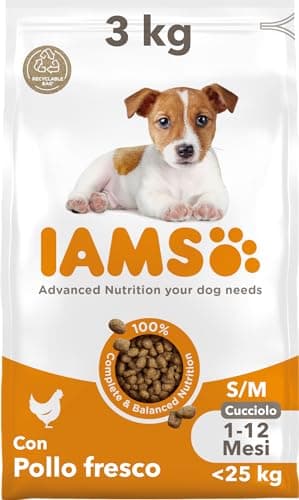 IAMS Junior cibo secco per cani con pollo - Cibo per cuccioli da 1 a 12 mesi, adatto a razze di piccola e media taglia, 3 kg