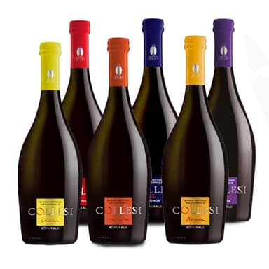 Birra Artigianale Collesi – Confezione Degustazione 6 Birre - Chiara, Triplo, IPA, Rossa, Bionda, Ambrata - Confezione da 6 Bottiglie - Bottiglie da 750 ml