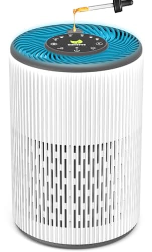 DAYETTE Purificatore d'aria portatile per chi soffre di allergie con spugna profumata e luce notturna blu, timer, modalità di riposo (20 dB), filtro aria HEPA contro muffa, polvere, polline, odori