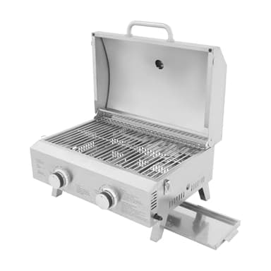 Barbecue a gas portatile da tavolo, 2 fuochi, in acciaio inox, da balcone, da campeggio, con termometro, coperchio per barbecue, per terrazza, giardino, 55,8 x 45 x 38 cm