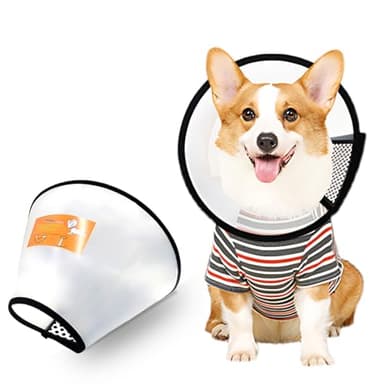 Pet Cone Recupero, Collare protettivo regolabile per cani di grandi dimensioni, Anti-Bite Lick Copertura di sicurezza del collo，collare elisabettiano cane(circonferenza del collo 33-36cm)
