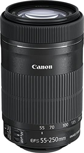 Canon Obiettivo EF-S 55-250 mm f/4-5.6 IS STM