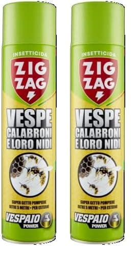 Zig Zag, Vespaio Power, Insetticida per Vespe e Calabroni, Spray ad azione immediata, Colpisce fino a 6 metri, 600 ml (Confezione da 2)