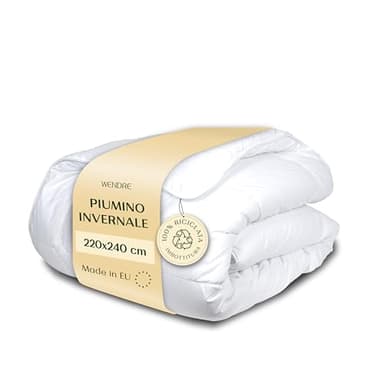 Wendre Piumone Invernale Matrimoniale 220x240 – 300 GSM con Struttura Interna Isolante – Caldo e Confortevole, Microfibra Anallergica, OEKO-TEX, Prodotto in Europa, Lavabile