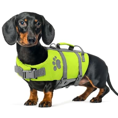 Queenmore Salvagente Cane Taglia XS, Leggero, Con Maniglia Di Salvataggio, Per Cani Piccoli, Nuotare, Kayak, Paddleboarding (XS, Verde)