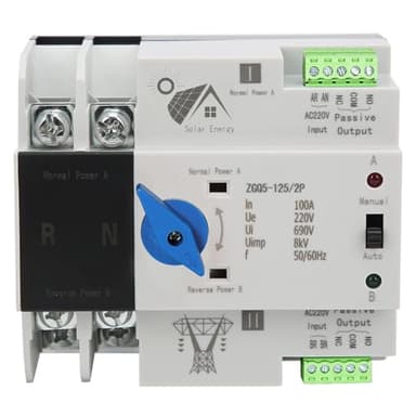 SiRyder 2P 100A ATS Fotovoltaico,Interruttore di Trasferimento Automatico,ATS Fotovoltaico 220V 100A 2P Automatico Interuptore a Doppio Transferencia, per Solar Panel e Elettricità Municipale