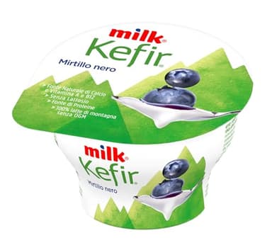Milk Kefir Senza Lattosio alla Frutta Cremoso con Mirtilli Neri, Crema da Latte senza Lattosio su Mirtilli - Con Fermenti Lattici, Probiotici, Calcio, Proteine, Vitamina B12 e Vitamina A (150 g)