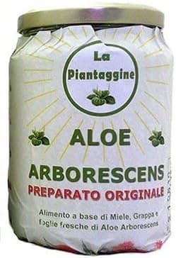 ALOE ARBORESCENS COME DA RICETTA DI PADRE ROMANO ZAGO PRODOTTO DA FOGLIE FRESCHE 700 ml. La Piantaggine