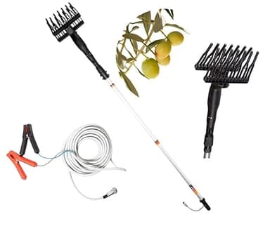 maryse Abbacchiatore Elettrico per Olive 12V - Scuotitore Telescopico 400W - 1000 Battiti/Minuto - Asta Allungabile da 2.1 a 3.1 Metri - L'Attrezzo Professionale per la Raccolta Olive