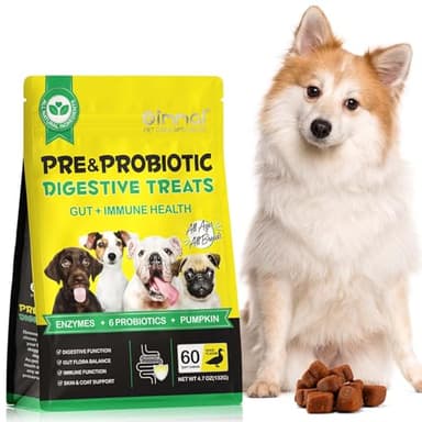 GMOLARSUSCO Probiotici per Cani 60 Snack, Probiotico Digestivo per Cani, Supportare la Salute Dell'intestino, Ghiandole Anali e Sederino, Feci Allentate, Allergie Stagionali, Prurito Cutaneo