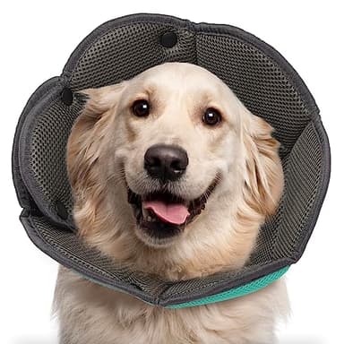 Collare Elisabettiano per Cane Gatto,Collare A Cono Per Cani Morbido,Coni Collare Protettivo Ferite Recupero Guarigione Postoperatorio Collare Anti Morso o Leccato Dopo Intervento Chirurgico XL
