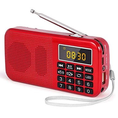 PRUNUS J-725 Radio Portatile Digitale FM, Lettore Musicale MP3, Supporto USB/AUX/TF Card, Radioline Portatili con Torcia di Emergenza, Funzioni di Orologio e di Allarme.