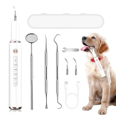 FIVAVA Pulizia Denti Cane, Pulizia Denti Tartaro per Cani e Gatti, Kit Pulizia Denti, 5 Modalità di Pulizia, Rimuove il Tartaro, Ricaricabile (Bianco)