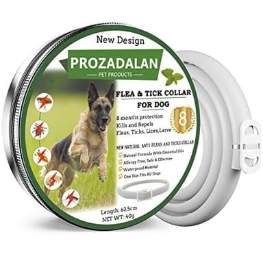 Collare Antipulci e Zecche Regolabile Impermeabile, Antiparassitario per Tutti i Tipi di Cani, 8 Mesi di Efficacia Protezione, 63cm Taglia Unica (1pack)