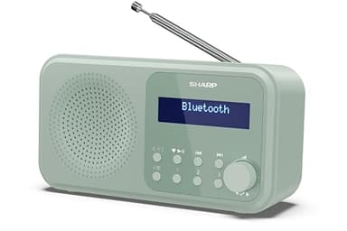 Shap DR-P420(GN) - Radio DAB+/DAB/FM compatta e portatile con streaming audio senza fili Bluetooth e alimentazione tramite USB o batteria, colore, verde